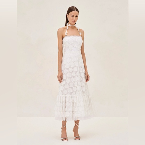 Alexis Dresses & Skirts - NWT Alexis Villanelle Dress